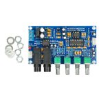 IOT-Audios PT2399 Digital Microphone Amplifier Board Karaoke Reverberation Board Karaoke OK Amplifier Module Dual AC 12V