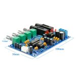 IOT-Audios PT2399 Digital Microphone Amplifier Board Karaoke Reverberation Board Karaoke OK Amplifier Module Dual AC 12V